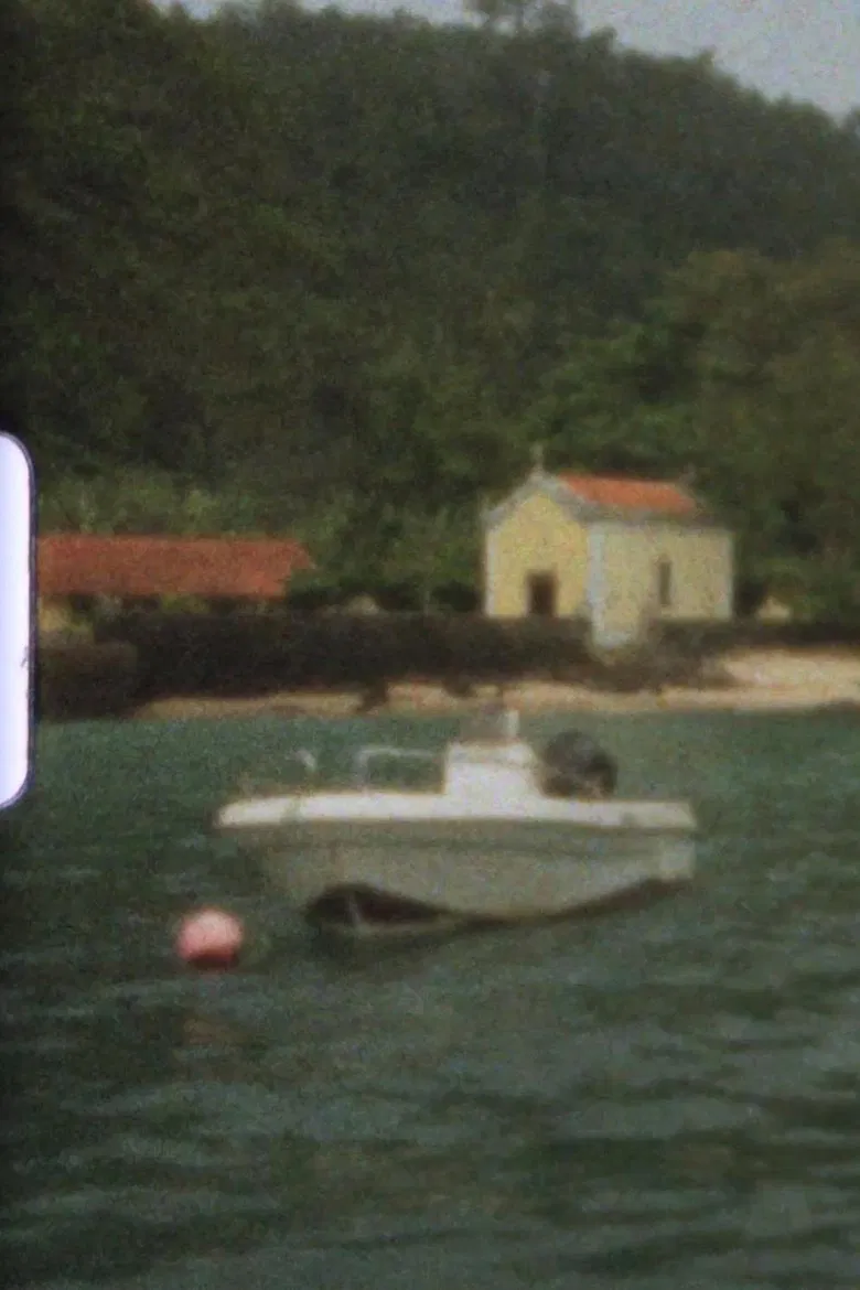 Teresa poster background