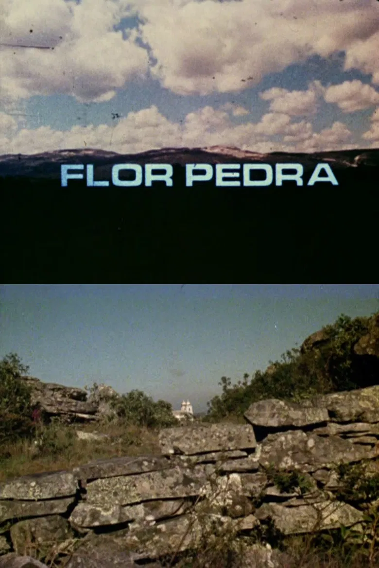 Flor Pedra poster background