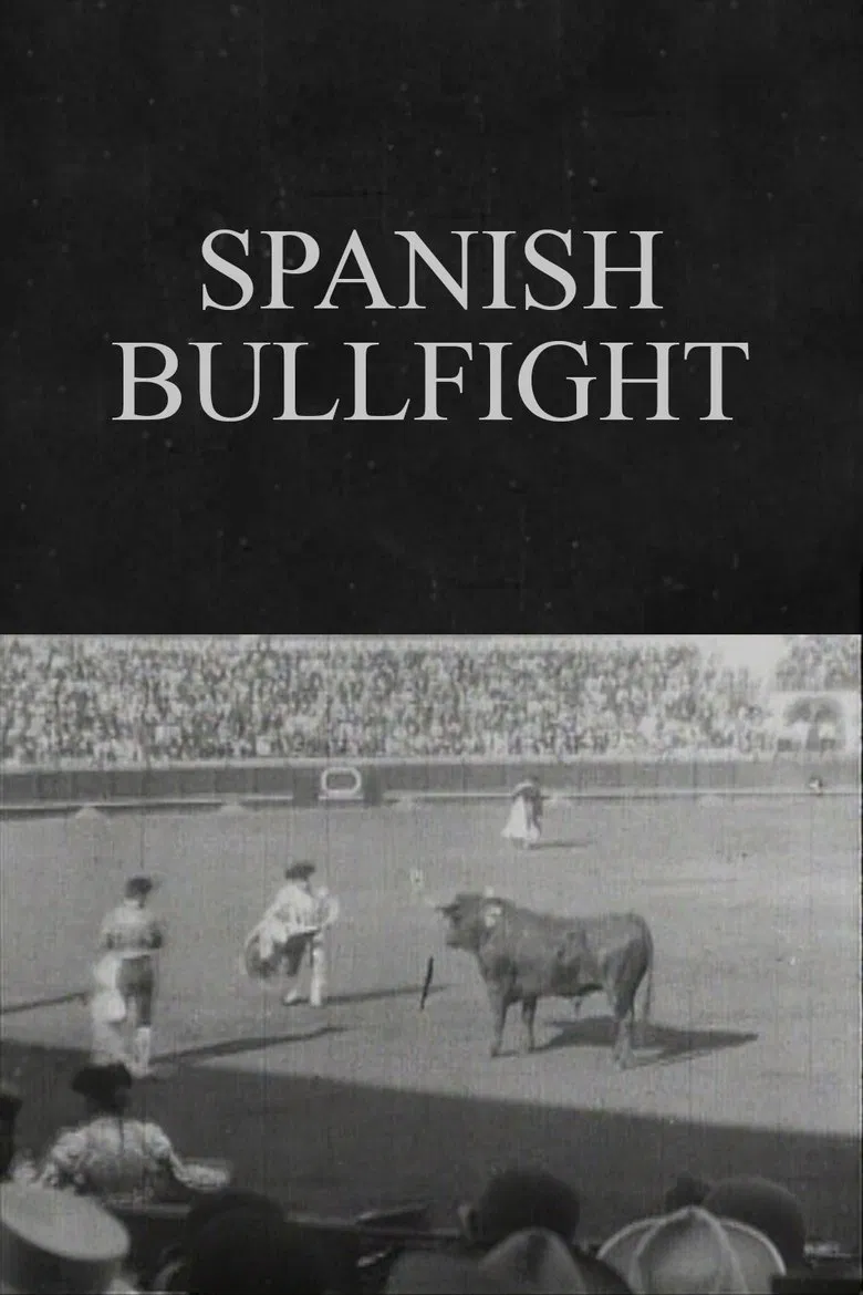 Spanish Bullfight poster background