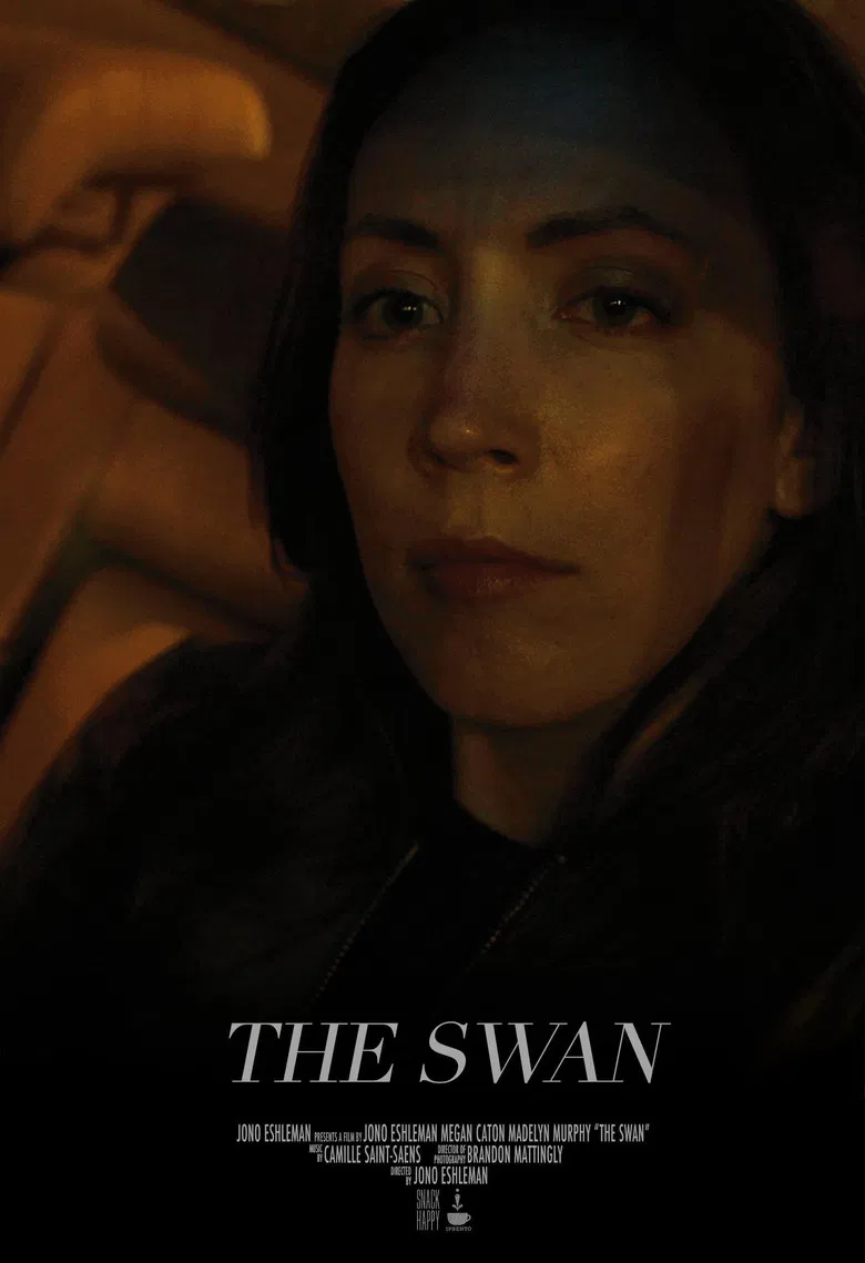 The Swan poster background