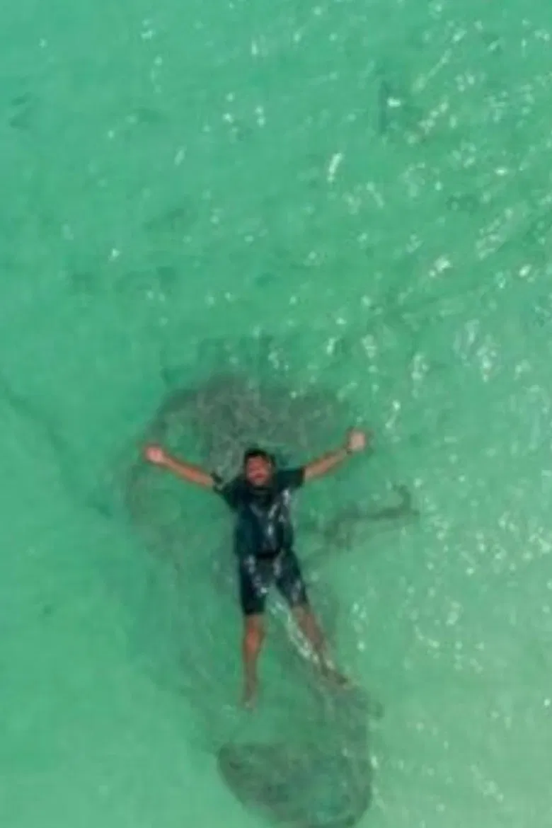 Just Beneath The Surface poster background