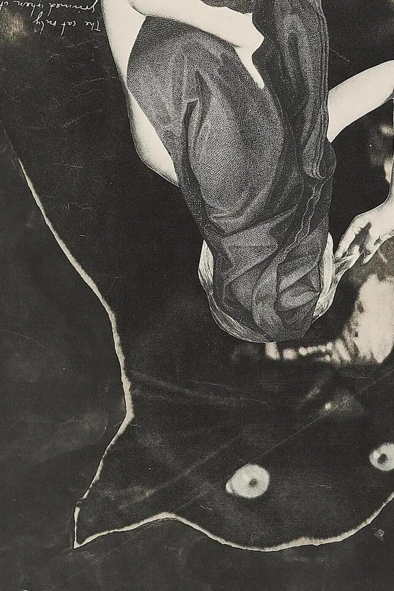 A Picture of Sarah Schumann poster background