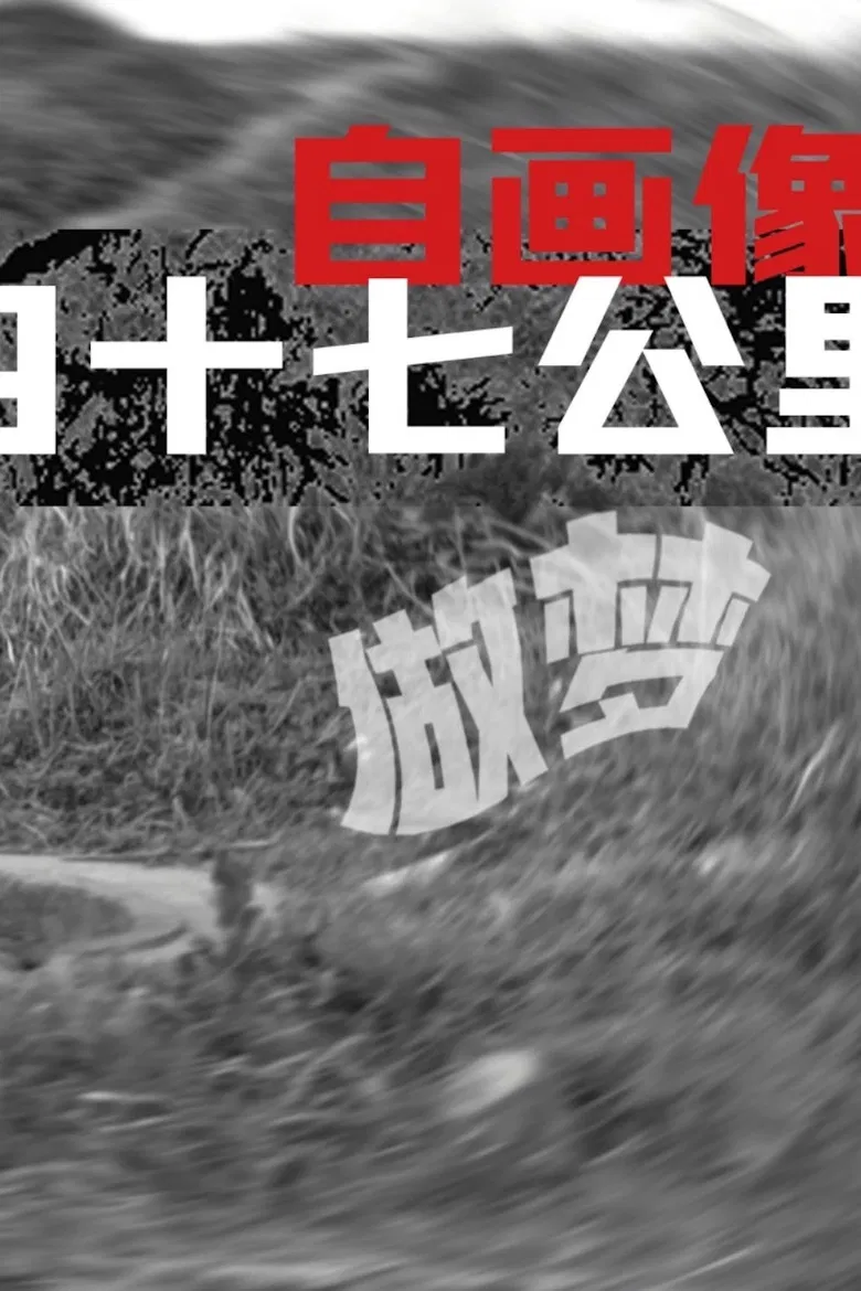 Self-Portrait: Dreaming at 47 KM poster background