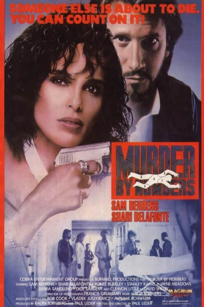 Murder by Numbers poster background