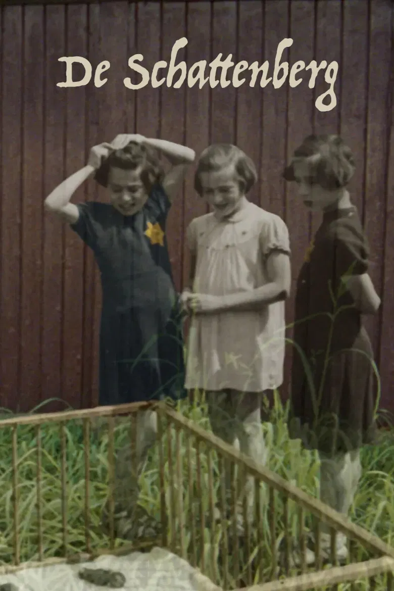 Treasure Mountain poster background