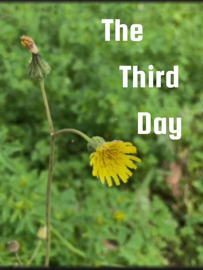 The Third Day poster background