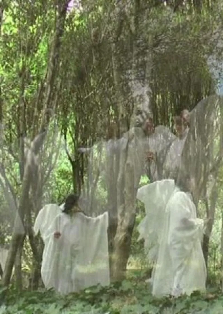 Il fascino dell'impossibile poster background