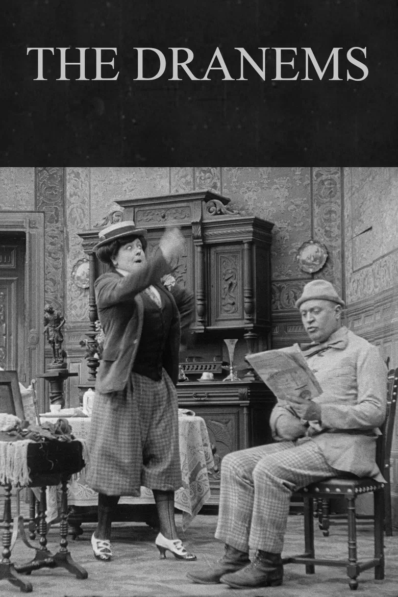 The Dranems poster background