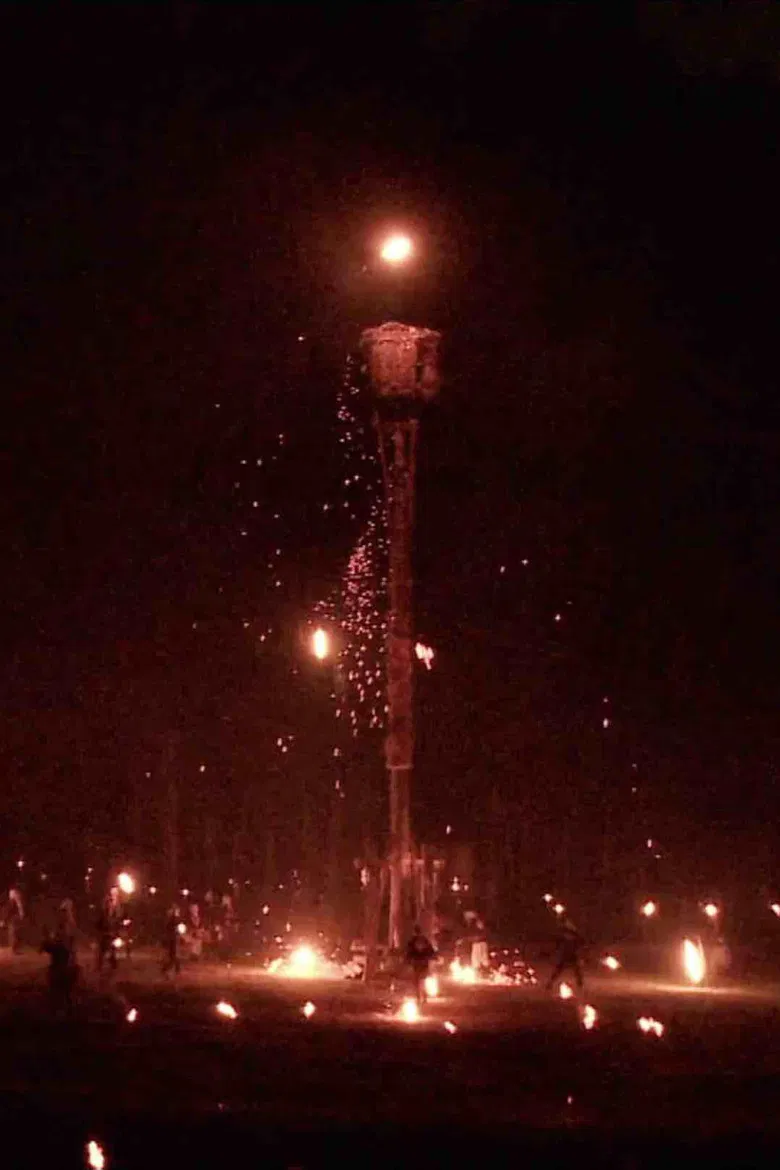 The Thread of Red Cocoons poster background