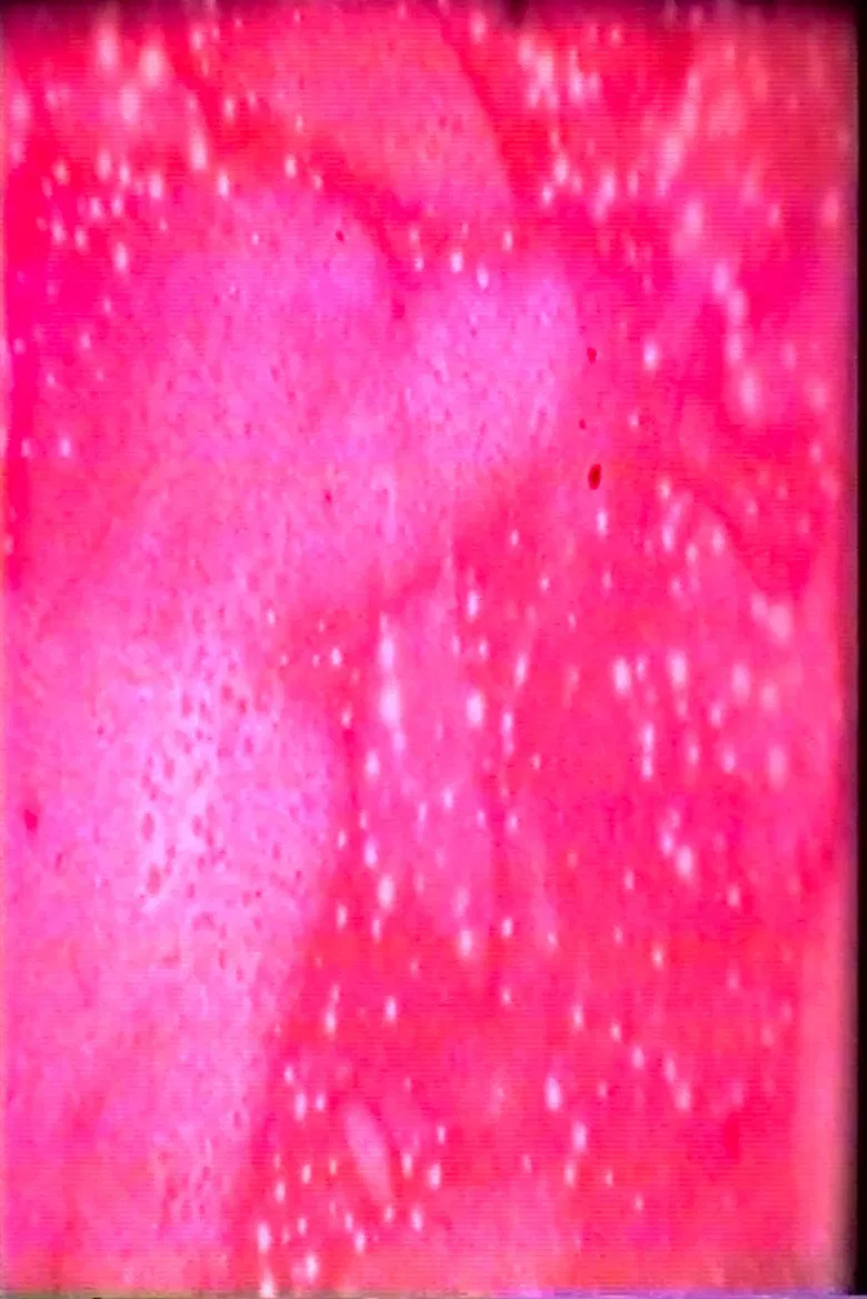 Space Cat poster background