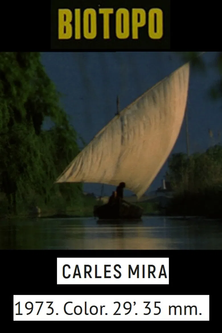 Biotopo poster background