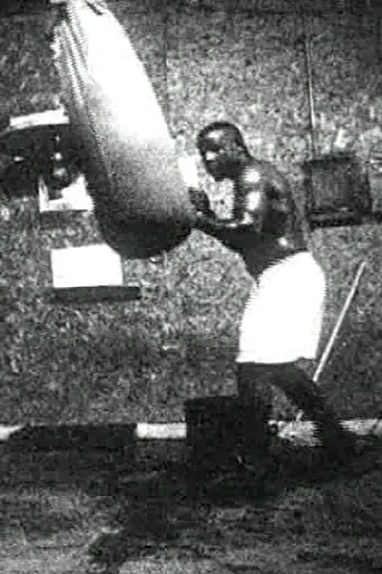 Meditations on Revolution Part IV: Greenville, MS poster background