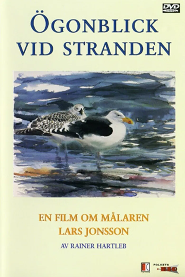 Ögonblick Vid Stranden poster background