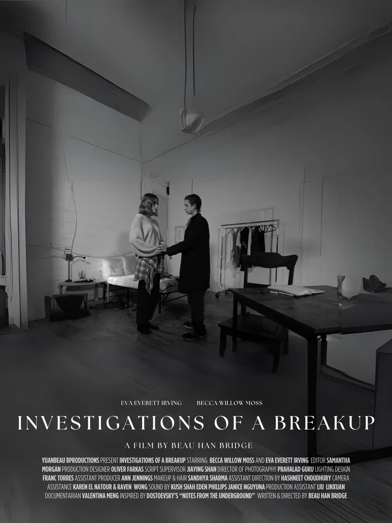 Investigations of a Breakup poster background