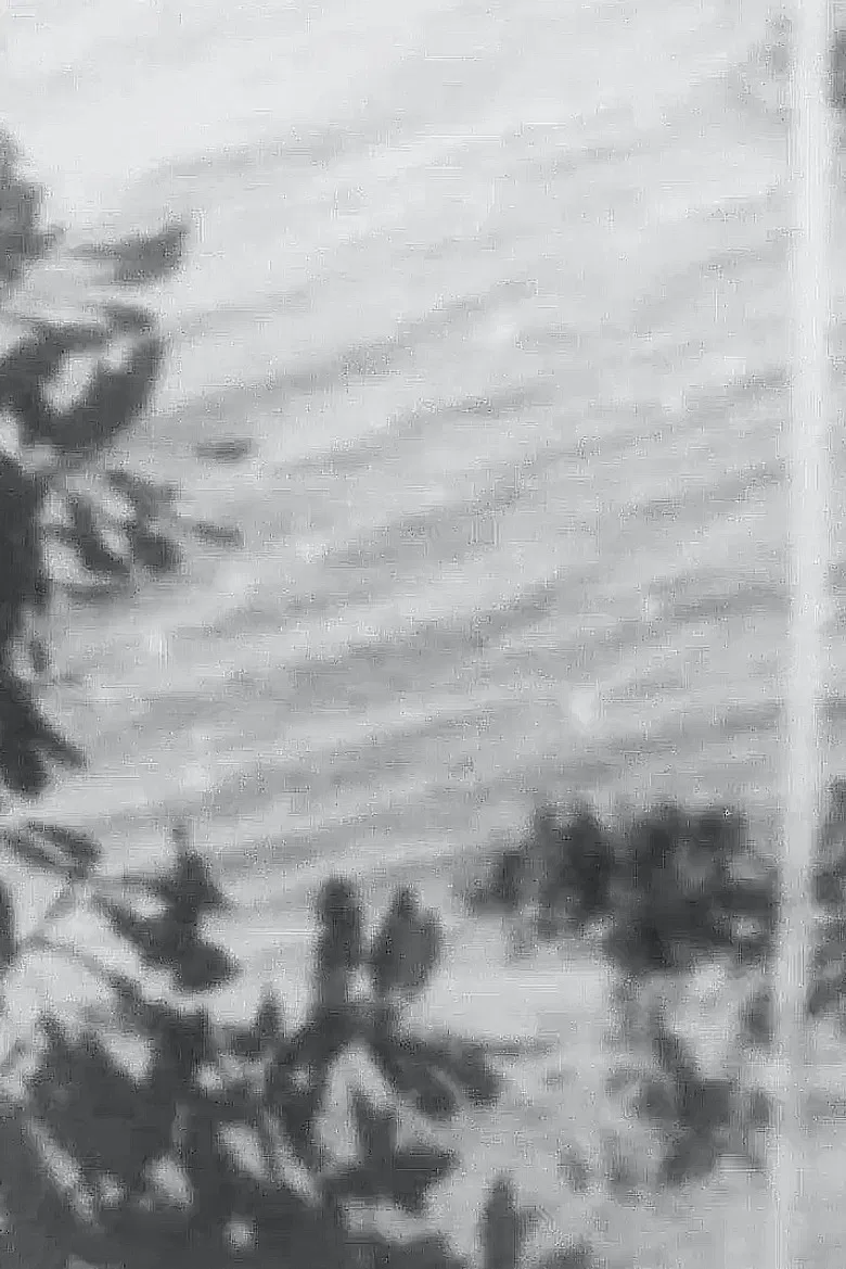 Point Chevalier Beach poster background