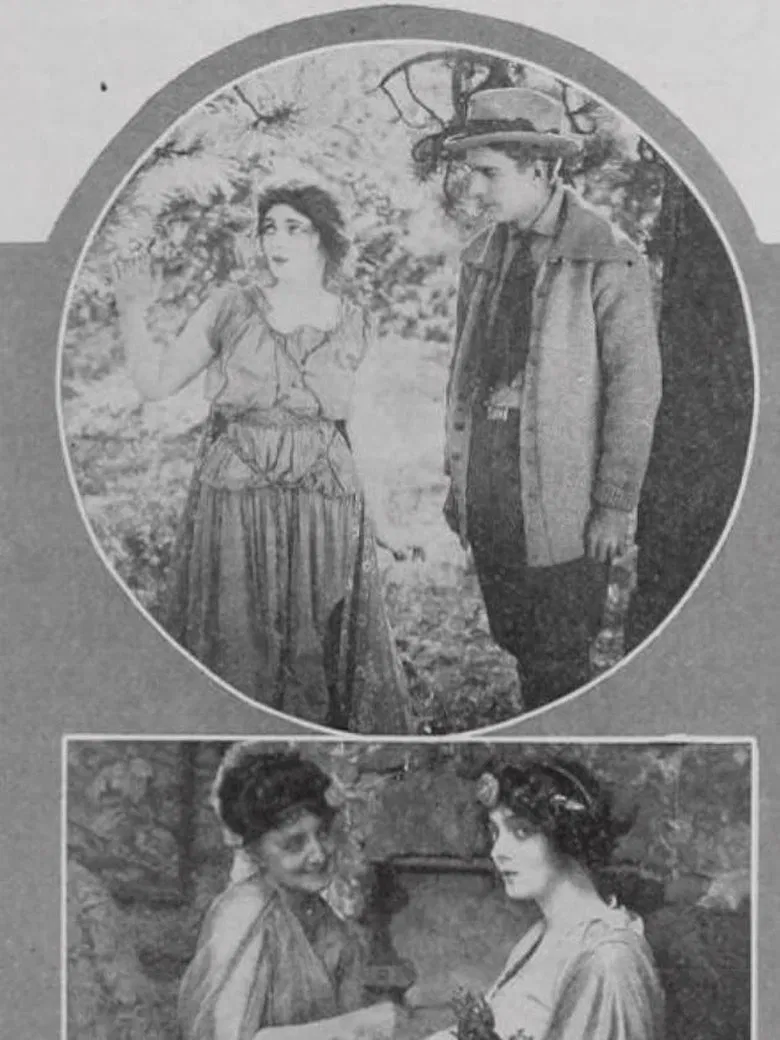 The Wood Nymph poster background