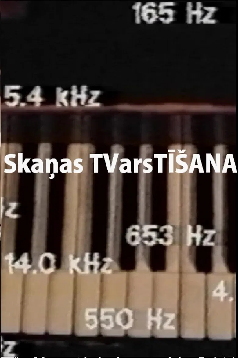Skaņas TVarsTĪŠANA poster background