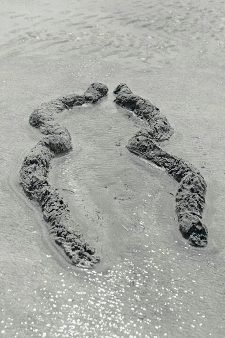 Ochún poster background