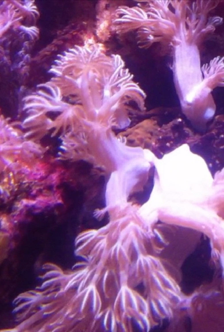 Blueprint of Moving Image poster background