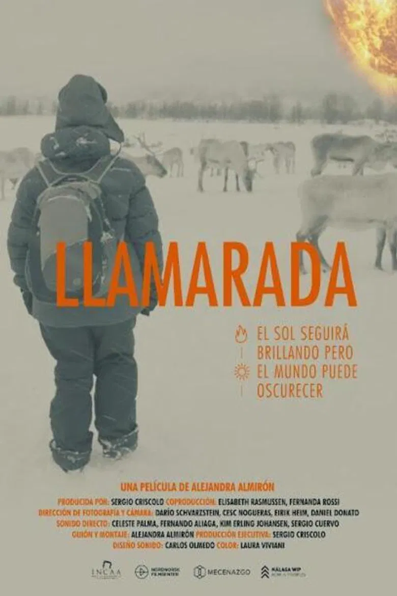 Llamarada poster background