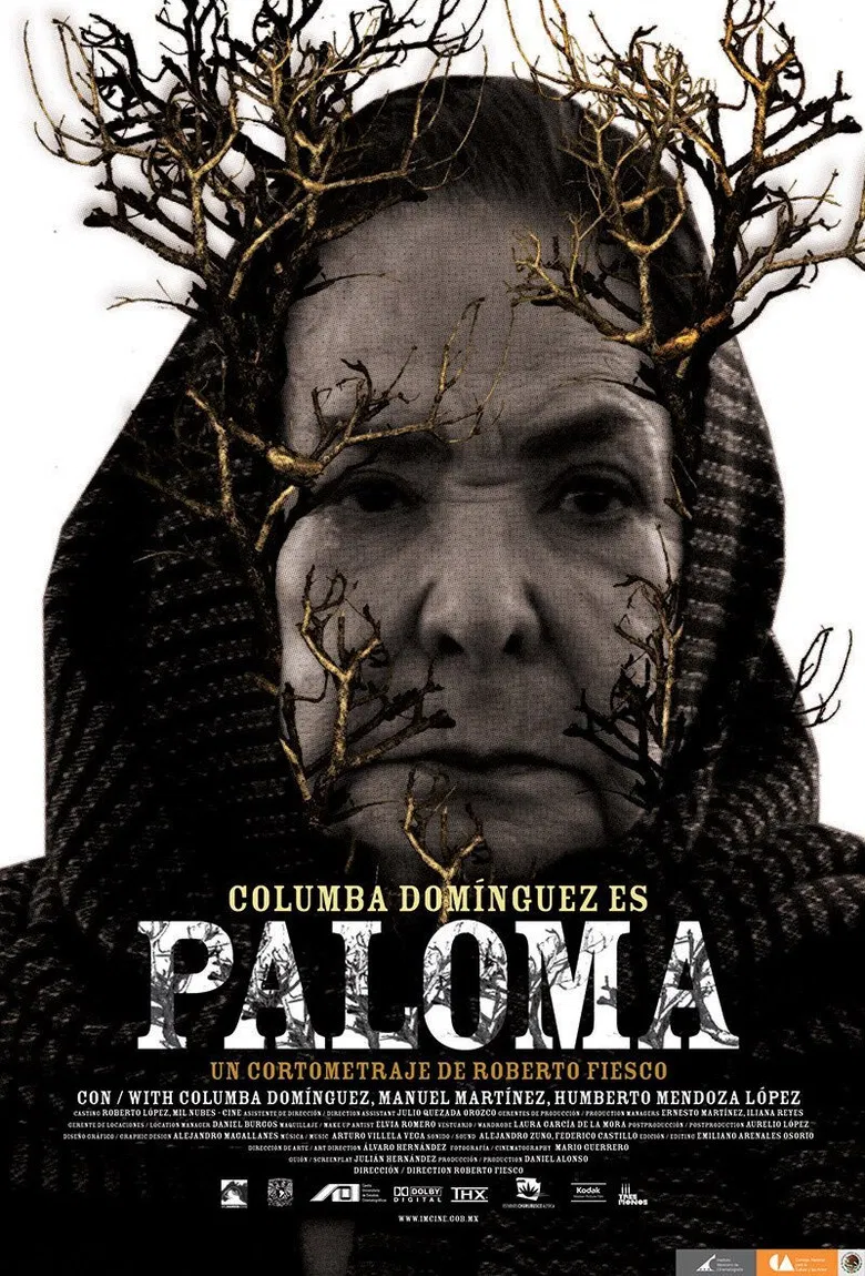 Paloma poster background