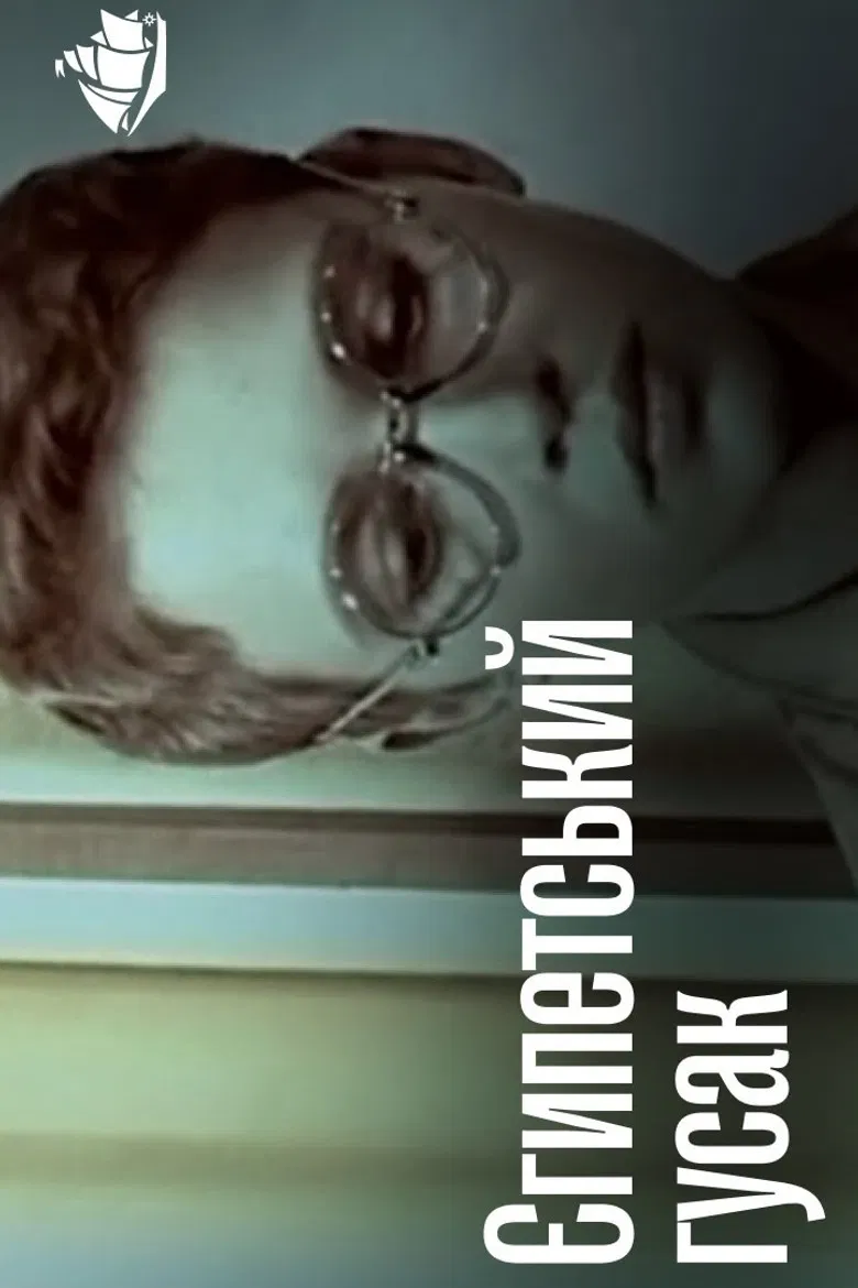 The Egyptian Goose poster background