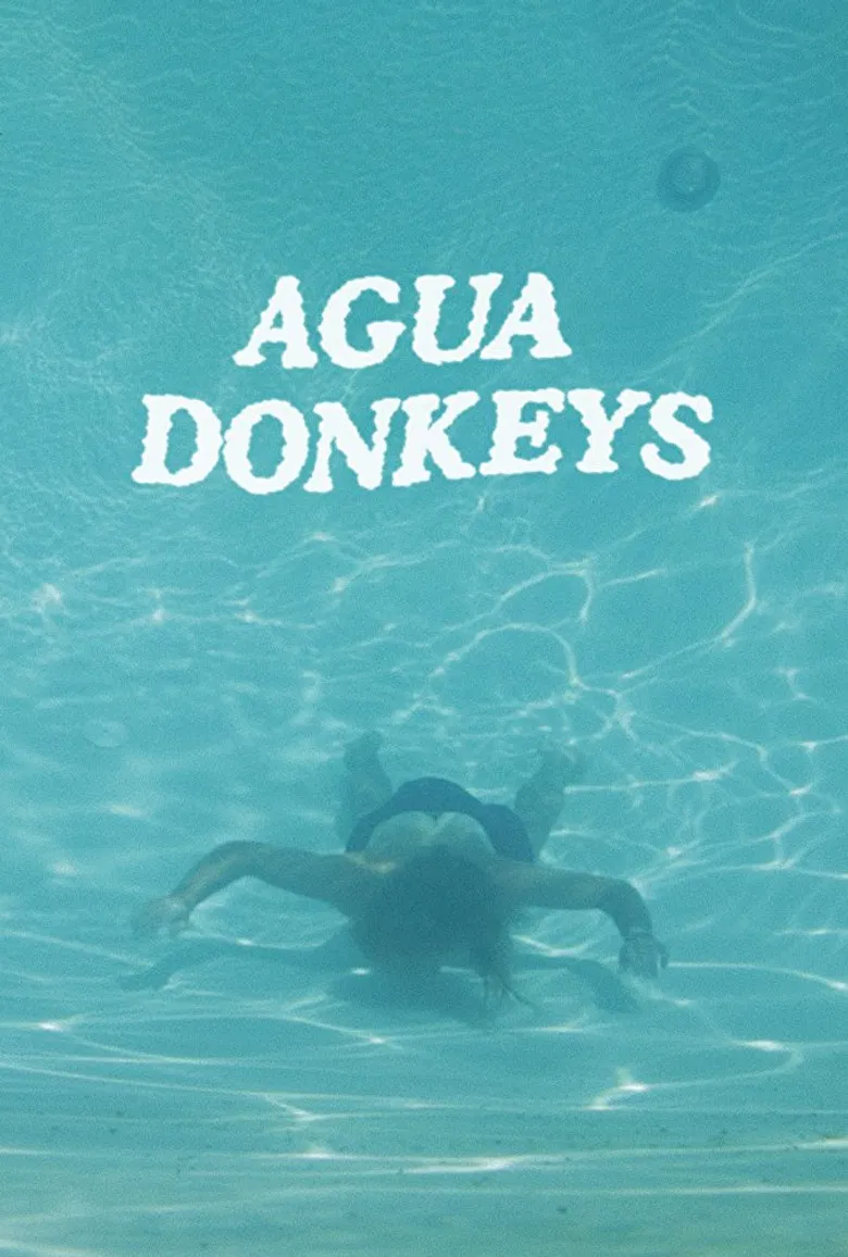 Agua Donkeys poster background