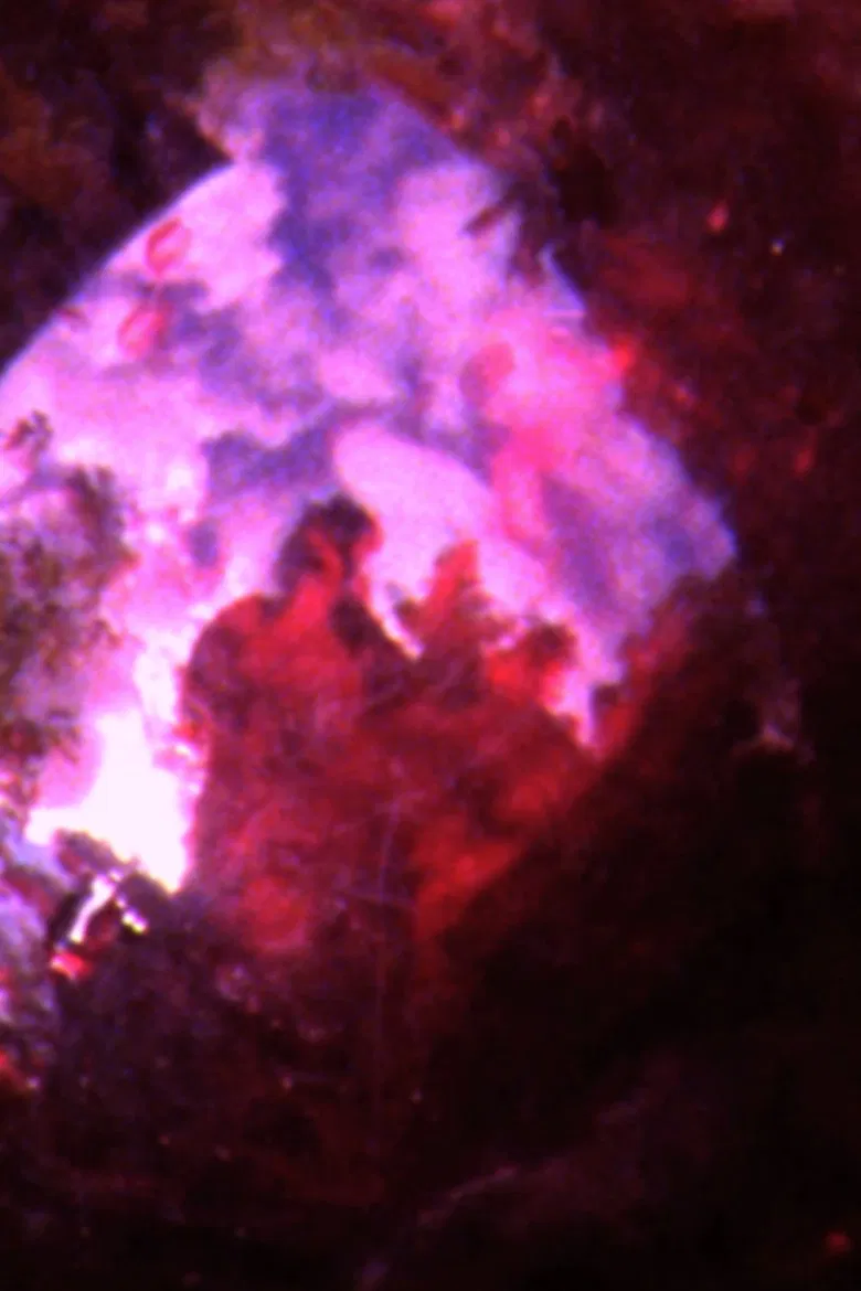 CRACK HOUSE poster background