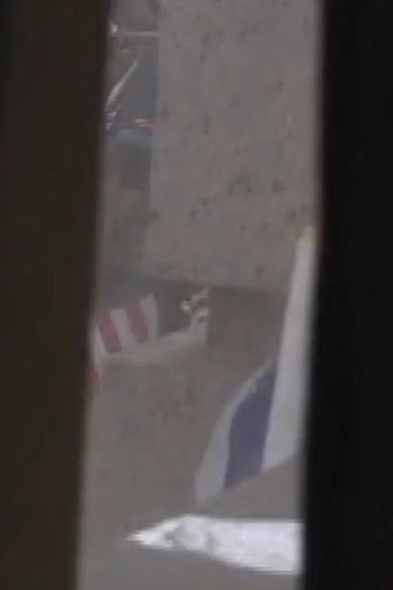 I'm a Pilot Like You poster background