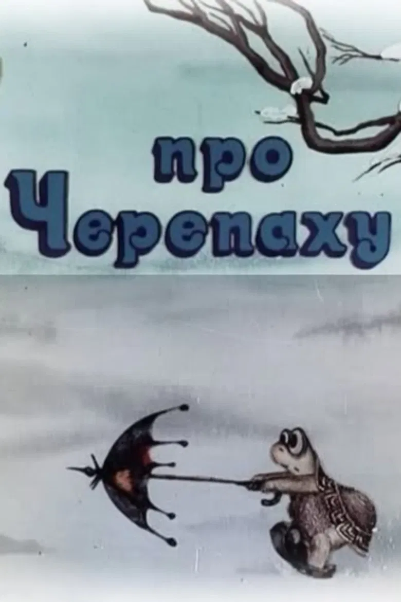 About a Tortoise poster background