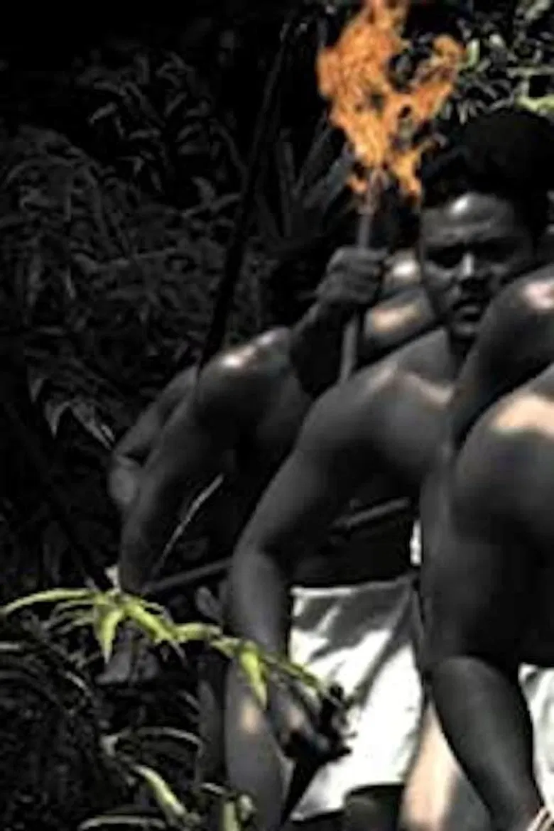 Ka'ililauokekoa poster background