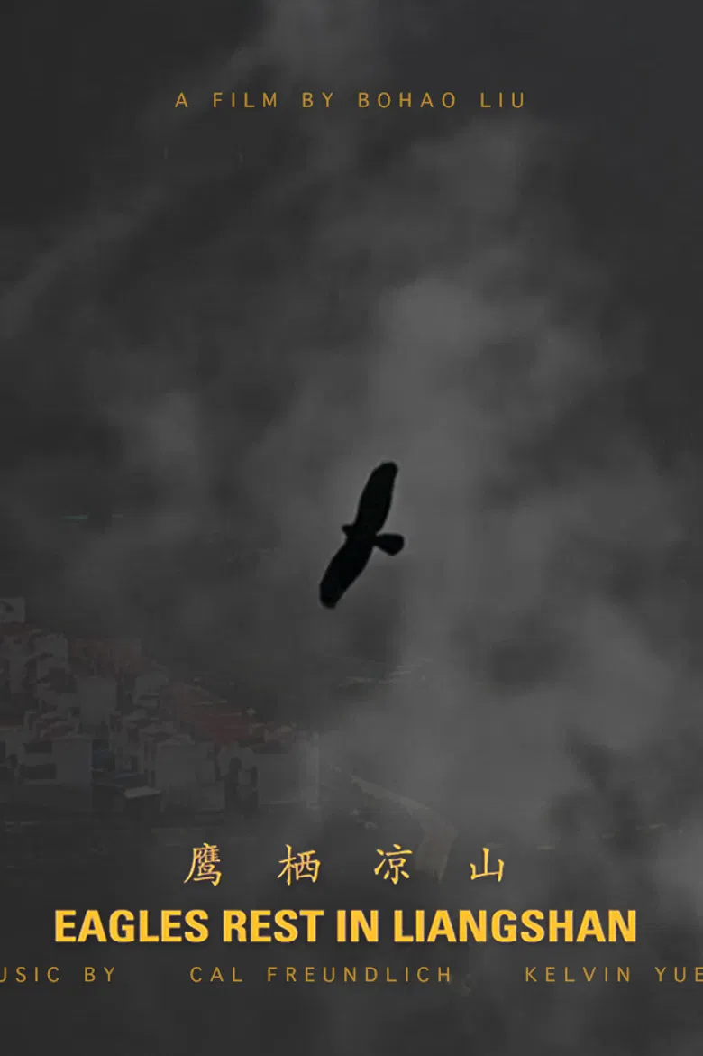 Eagles Rest in Liangshan poster background
