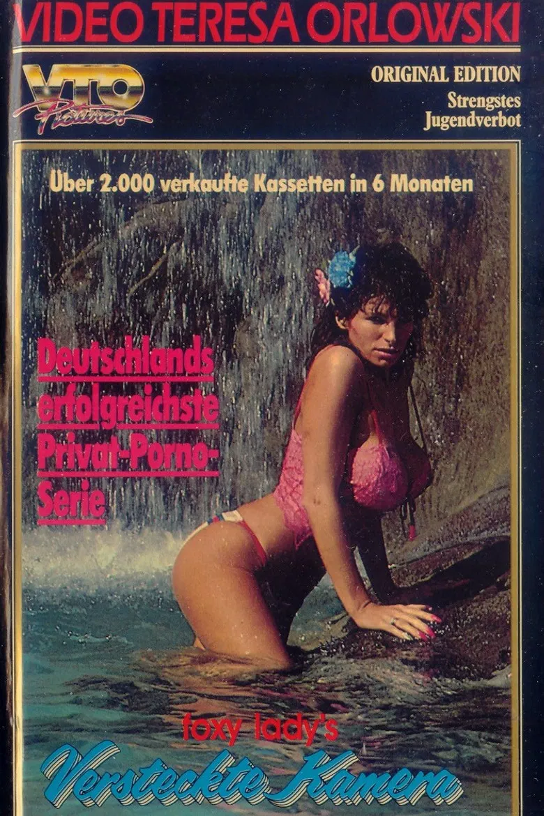 Foxy Lady's versteckte Kamera 2 poster background