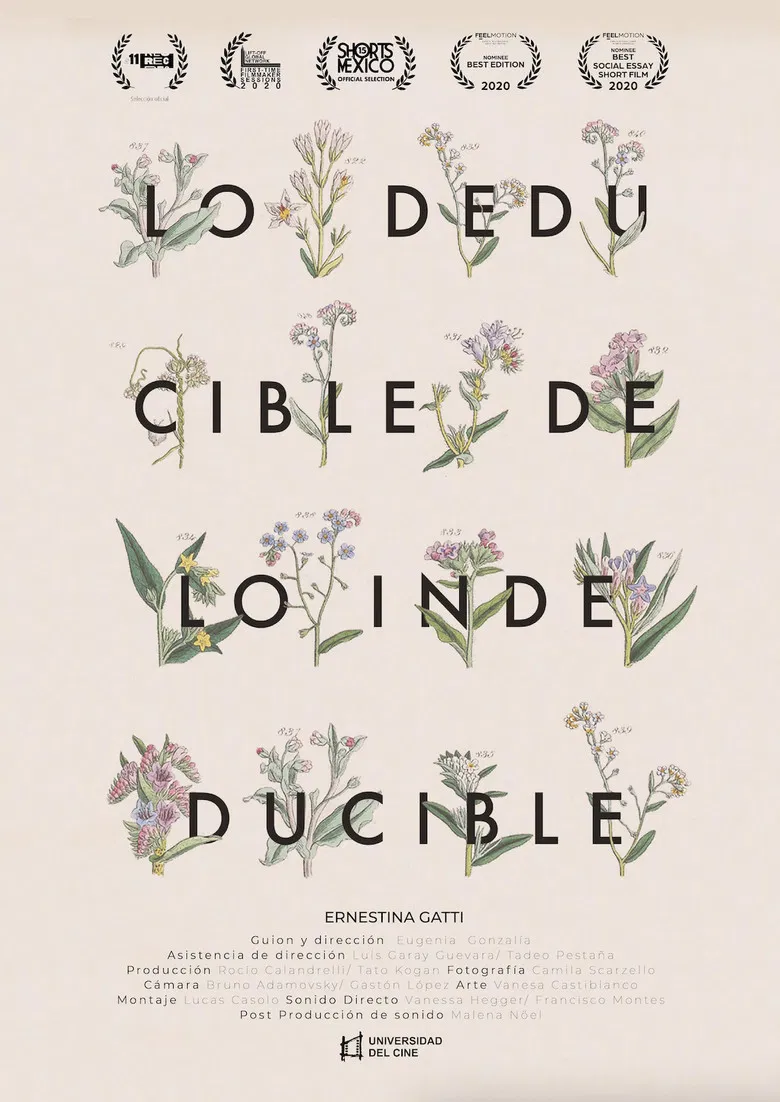 Lo deducible de lo indeducible poster background