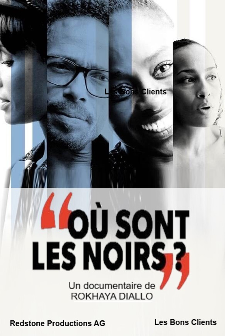 Où sont les noirs ? poster background