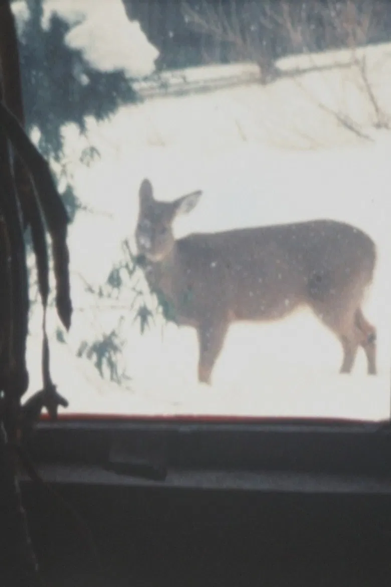 Super 8 Diary - 2000 poster background