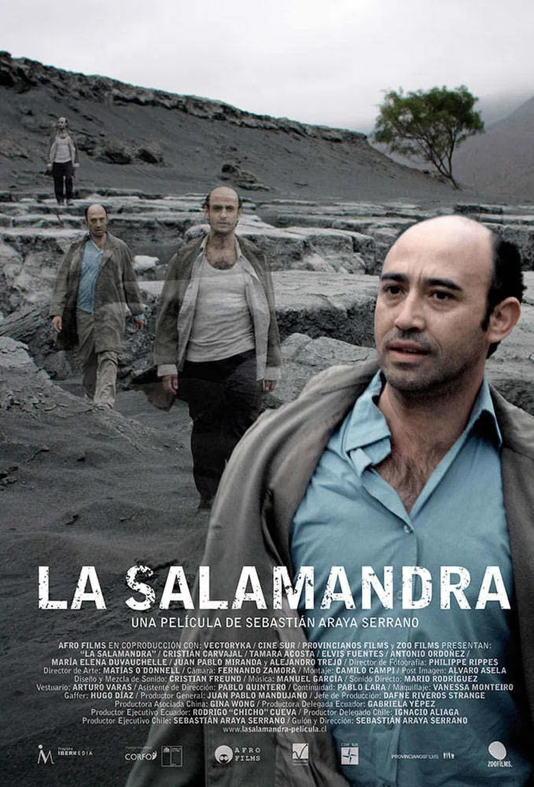 La salamandra poster background