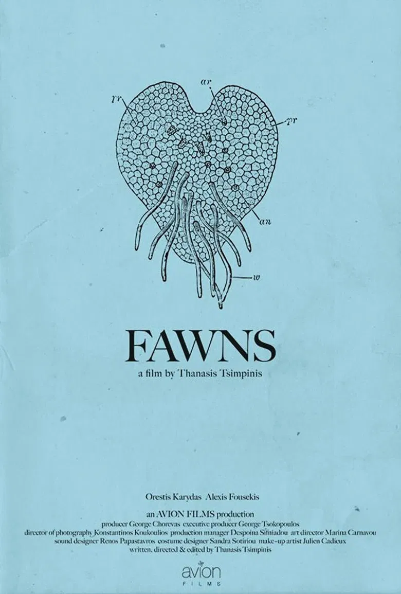 Fawns poster background
