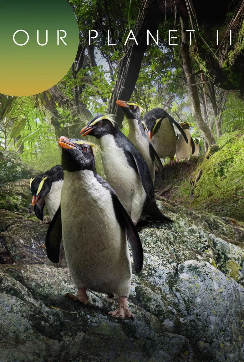 Our Planet II poster background