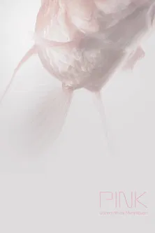 Pink poster background