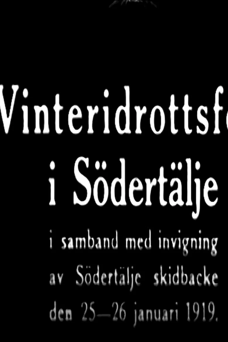 Winter Sports Party in Södertälje poster background