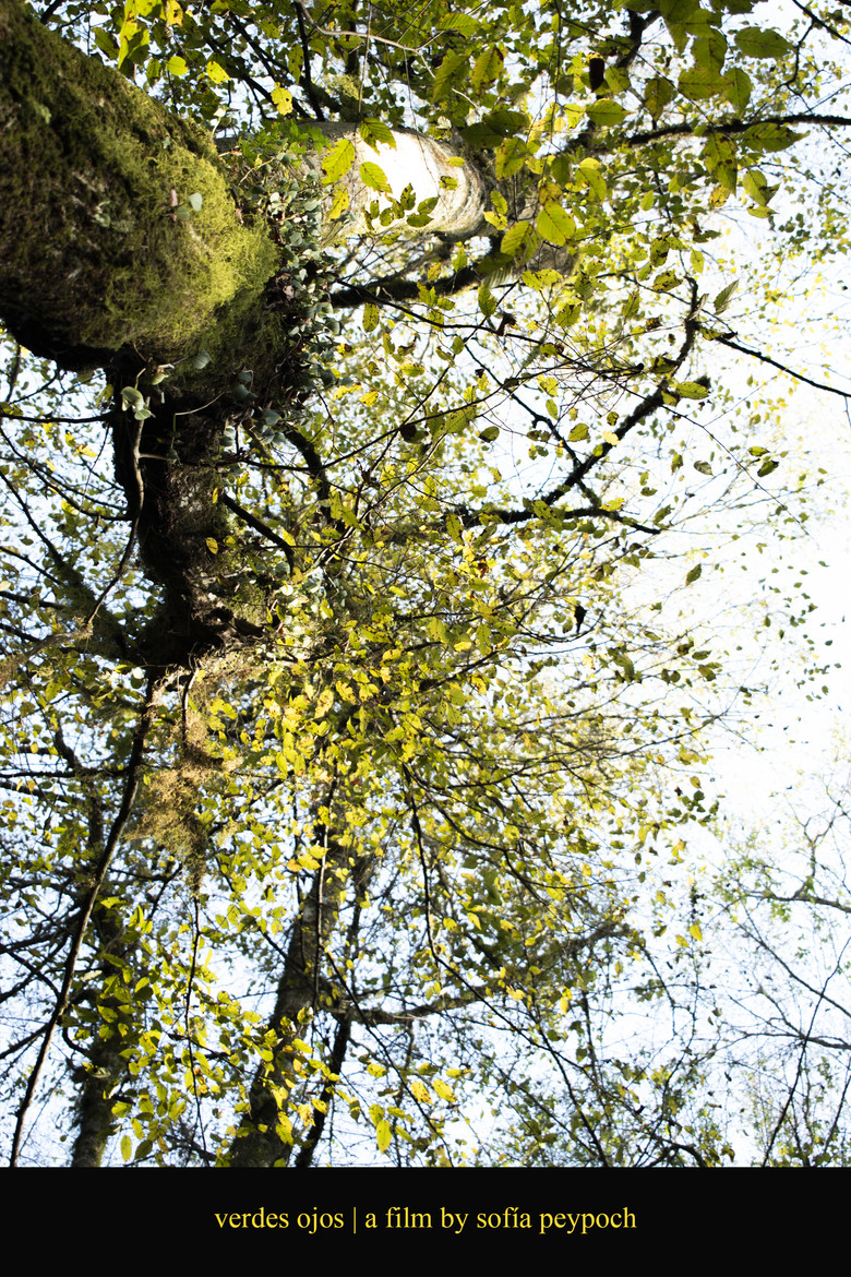 verdes ojos poster background