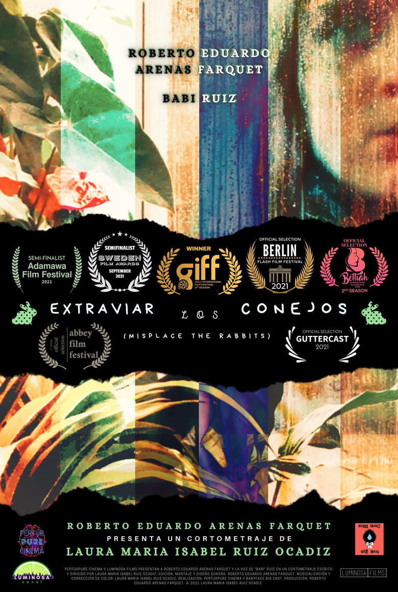 Misplace the rabbits poster background