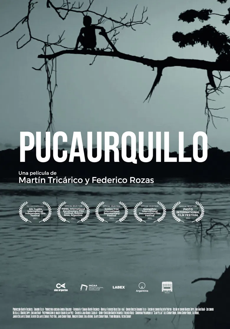 Pucaurquillo poster background