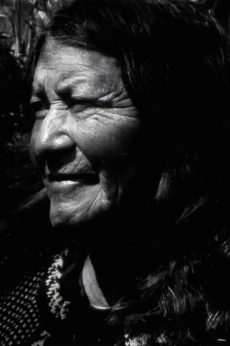 Manu: A Visual Album poster background