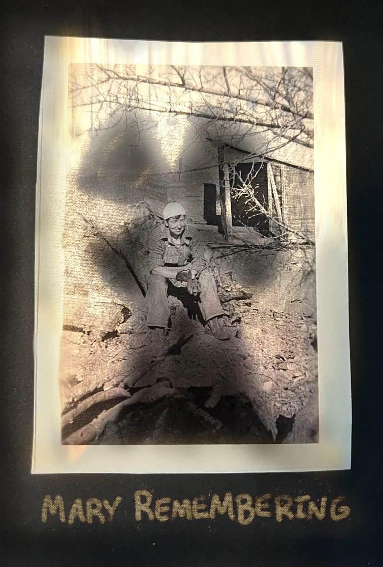 Mary Remembering poster background