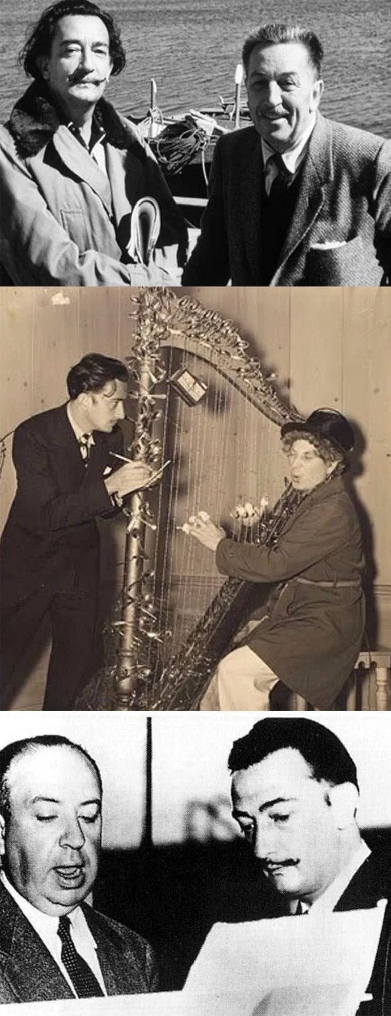 The Cinema According to Dalí poster background