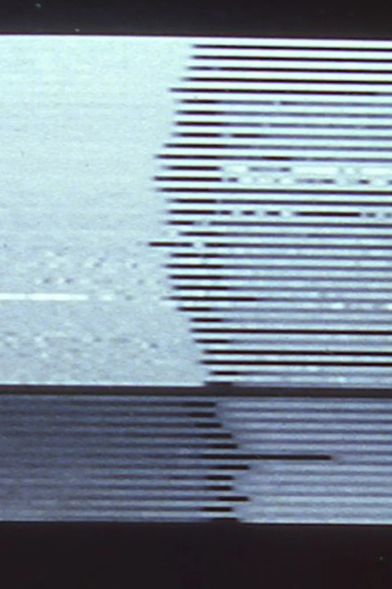 Stasis Series I & II I. Still Life; II. Papa's Garden poster background