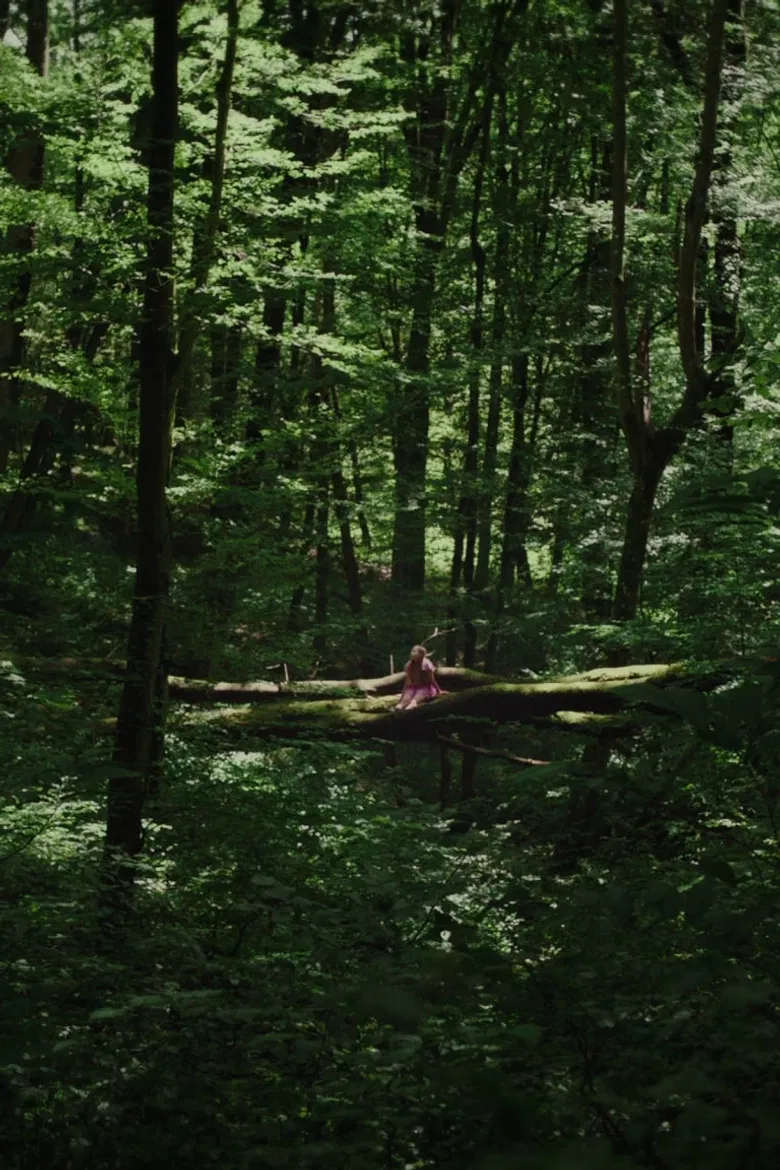 Kétoldali közelítés poster background