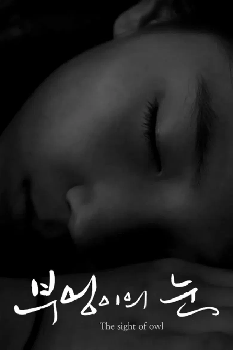 The Sight of Owl poster background